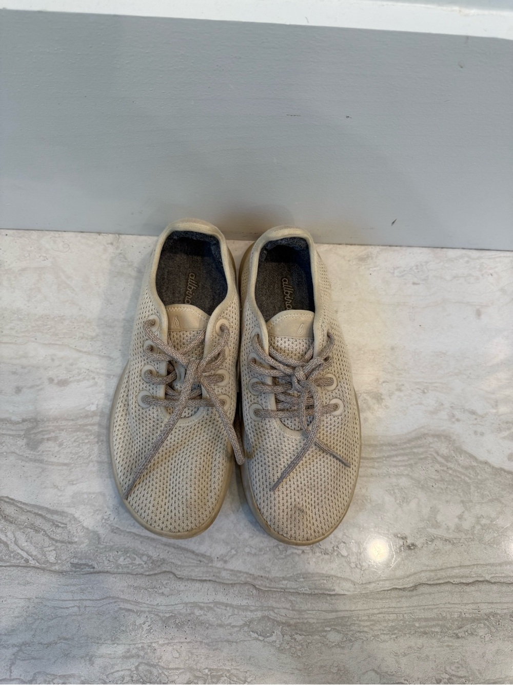 Allbirds Size 8